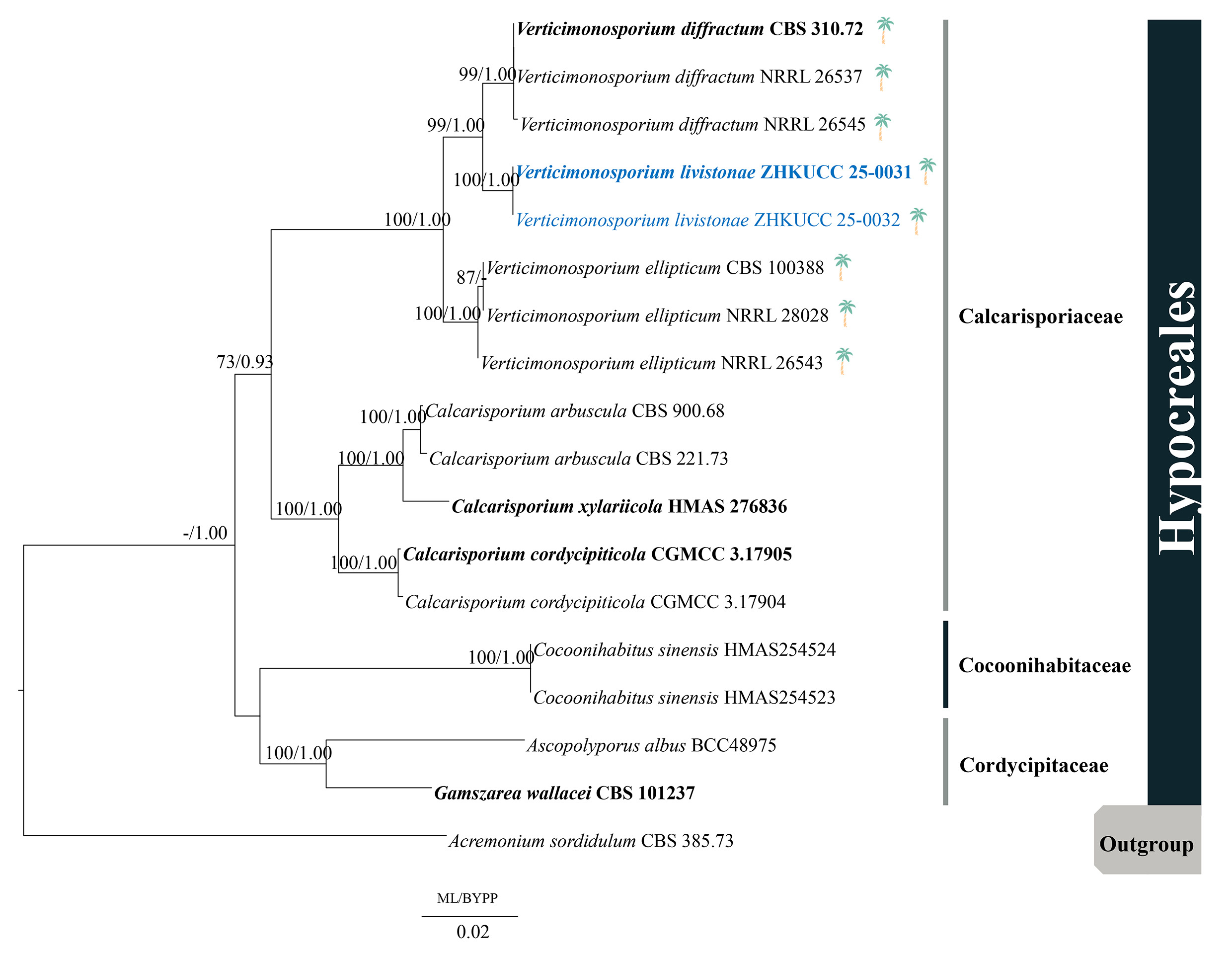 Figure 91